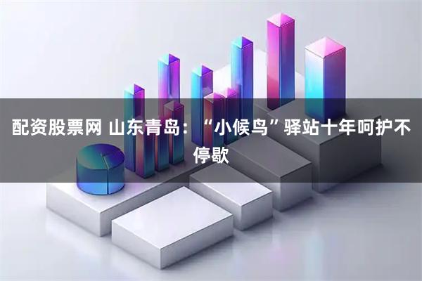 配资股票网 山东青岛：“小候鸟”驿站十年呵护不停歇